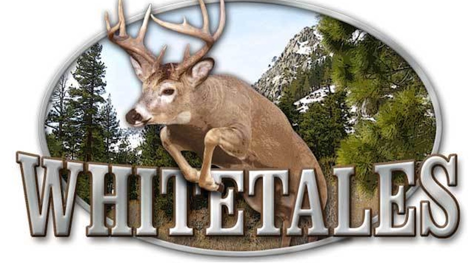 Number of deer bagged by Ohio hunters falls