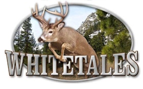 Judge denies Wisconsin Chippewa's night deer hunt bid
