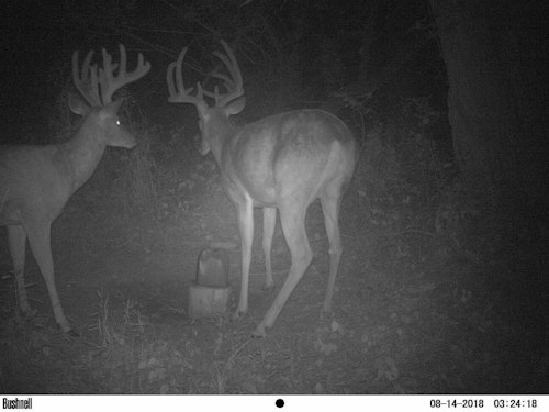 Game cameras showed great bucks, but a landowner who pulled the lease at the last minute turned excitement into a disaster.