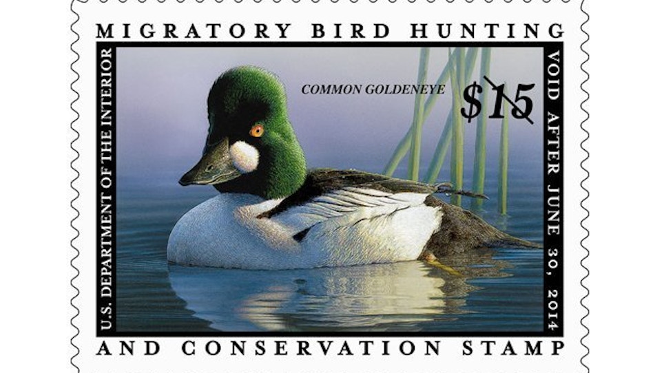 Duck stamp price may climb higher