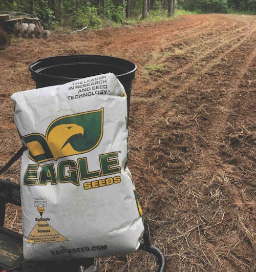 These Eagle Seed forage soybeans are a great crop for summer nutrition. The leaves contain 25 to 30 percent protein, and because it’s glyphosate tolerant, the entire plot can be sprayed with glyphosate to kill all grass and broadleaf weeds in the plot.