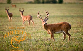 Early Season Deer Hunting Tips