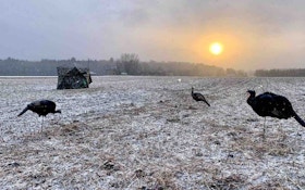 Bowhunting Eastern Wild Turkeys in the Midwest