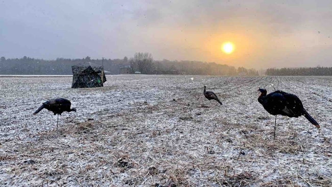 Bowhunting Eastern Wild Turkeys in the Midwest