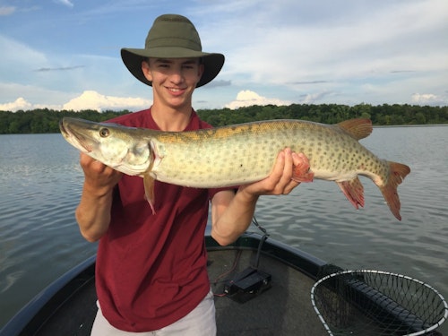 If you catch a muskie (above) and wish to take a photo, hold the fish horizontally then get it back in the water as soon as possible. Hold onto its tail (below) until it’s ready to swim away.