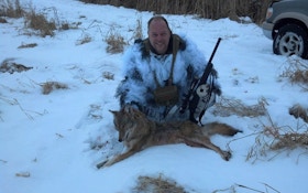 From the Readers: Shooting coyotes at long range