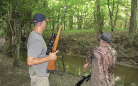 Where to Find, Hunt Feral Pigs in Summer