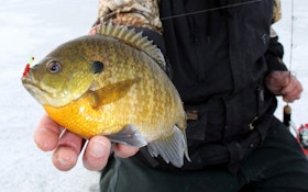 Ice fishing: when to stay put and when to go