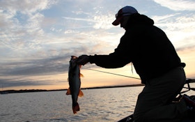 Mille Lacs Bass Offer Alternative To Walleyes