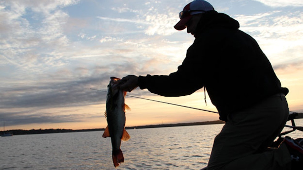 DNR Added 32 Million Fish To Indiana Waters In 2014