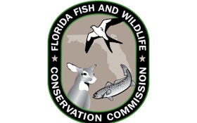 Wildlife Officials Capture, Relocate Florida Panther