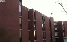VIDEO: Flying turkey slams into window