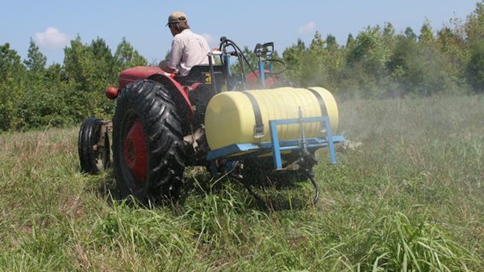 Winning the War With Food Plot Weeds