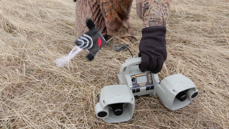 Pros and Cons of Using Predator Decoys