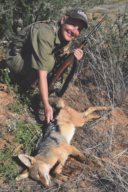 Shoot! This black-backed jackal paused for a heartbeat. Faster than irons, a dot is more accurate, too.