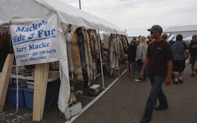 Fur Market Heydays