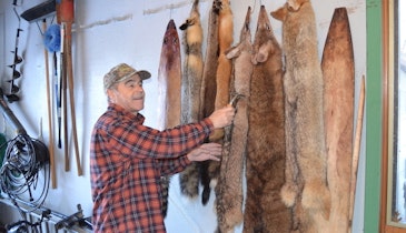 Vermont Legislators Want to Ban Trapping