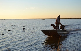 Duck-Hunting Myths — Busted