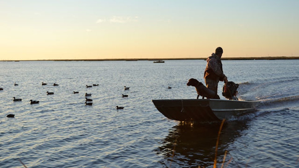 Duck-Hunting Myths — Busted