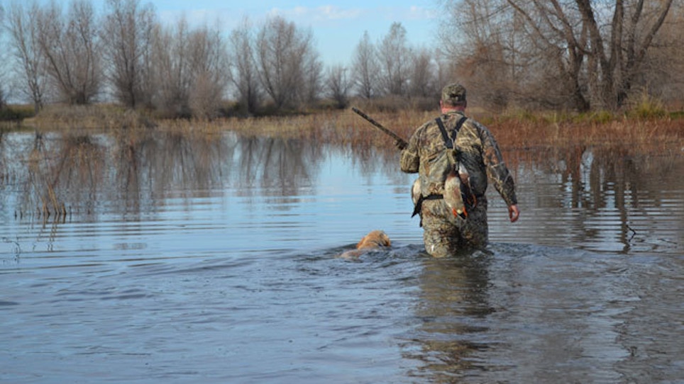 How To Find The Ducks In Any Weather Conditions