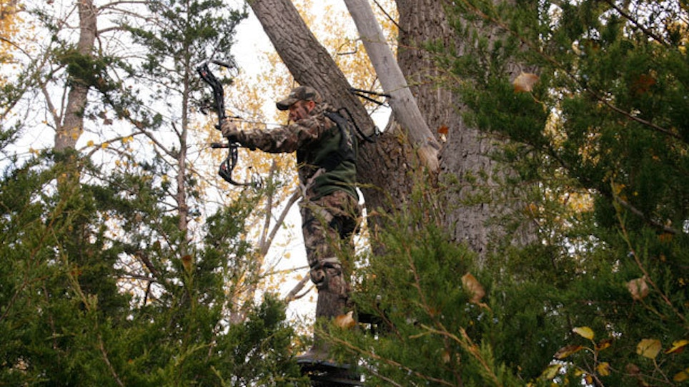 Which Treestand Should I Buy?