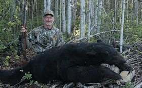 Thoughts On Hunting Black Bears