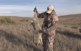 Could You Knock Down This Many Coyotes in One Day?