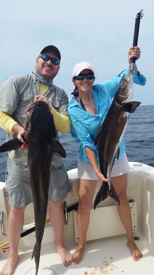 Georgia anglers caught these cobia over an artificial reef.