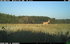 Get a Leg Up on Early Season Whitetails
