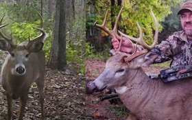 Video: 3 Top Spots for Public Land Trail Cams