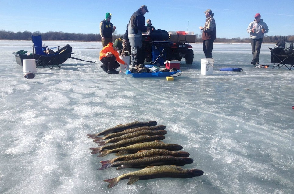 When the pike are biting fast, a group of ice anglers can go through a lot of minnows during a day of tip-up fishing.
