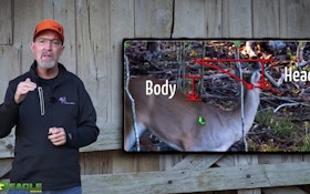 Video: What’s Best for Bowhunters? Deer Head Up or Down?