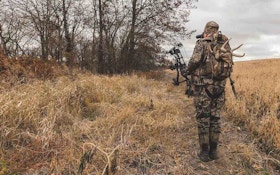 Hunt the Whitetail Rut the Right Way