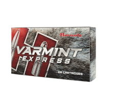 Hornady Varmint Express.