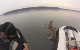 VIDEO: Hovercraft rescues stranded deer on Minnesota lake