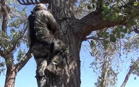 VIDEO: Treestand safety goes a long way towards a great hunt