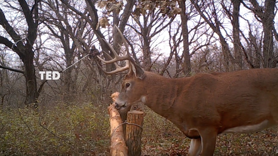 Video: How to Lure Whitetail Bucks With Horizontal Rubbing Posts