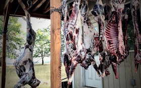 5 Benefits of Eating Wild Game