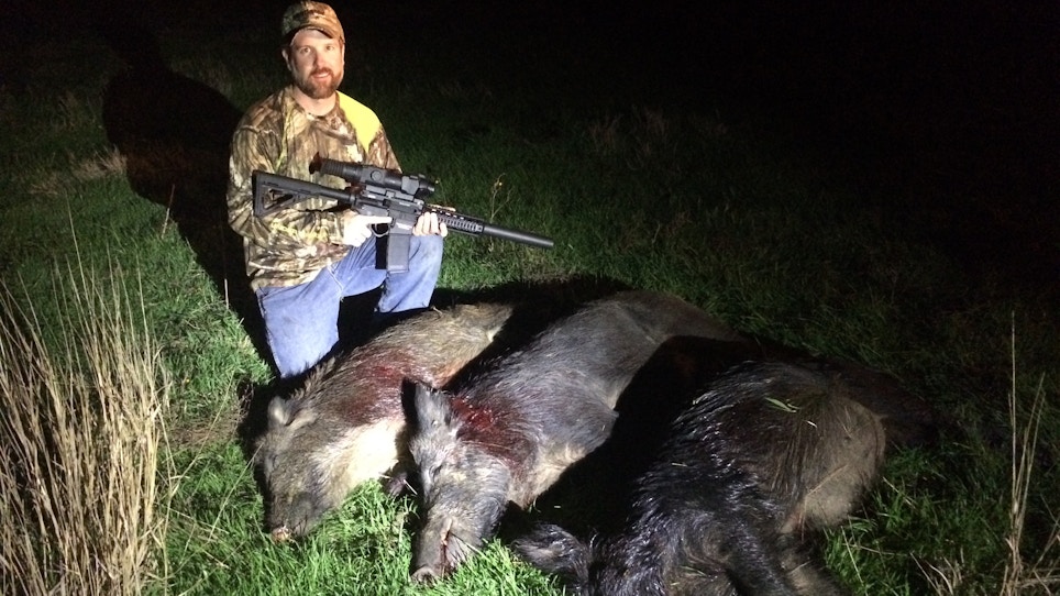 Shoot More Hogs With Thermal And Night Vision