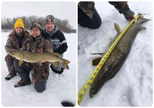 Have dedicated pockets in your winter parka to carry all the tools you need to quickly unhook fish. For toothy species such as northern pike (above), be sure to have a jaw spreader in addition to a long-nosed pliers. A tape measure is fast and convenient for quickly getting a measurement before releasing a fish.