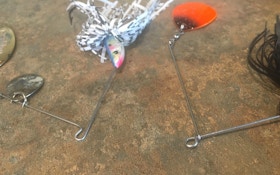 The Case for Closed-Loop Spinnerbaits