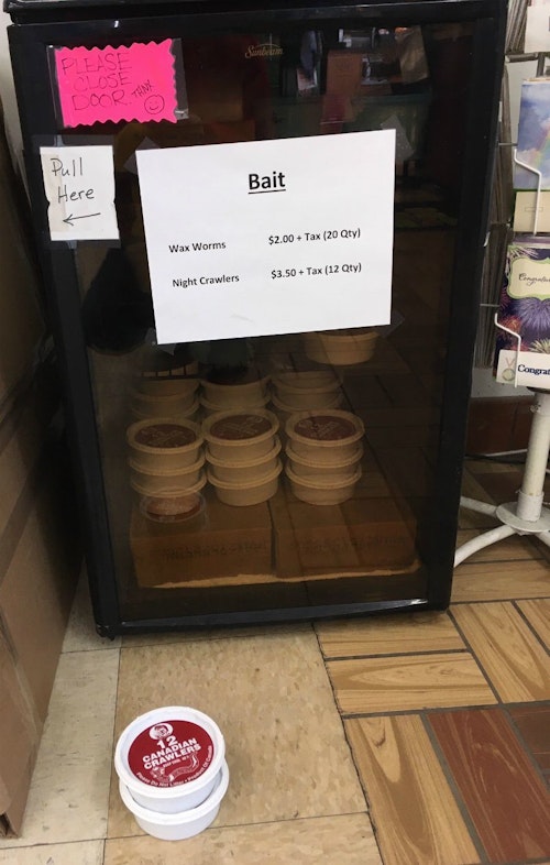 The author’s most recent “bait run” to a local gas station was successful. During previous visits, the store’s live bait refrigerator has been cleaned out completely because of in the increased number of anglers hitting the water due to the 2020 pandemic.