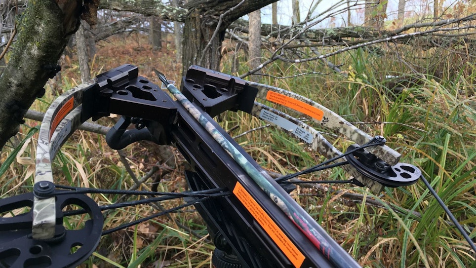 Crossbow Tip: How to Wait on a Whitetail