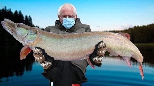 This meme wasn't part of our original top 11, but it's too good to ignore. Tip: Don't be like Bernie. HIs fuzzy mittens will remove a muskie's protective slime layer. To quote our new president, "Come on, man!"
