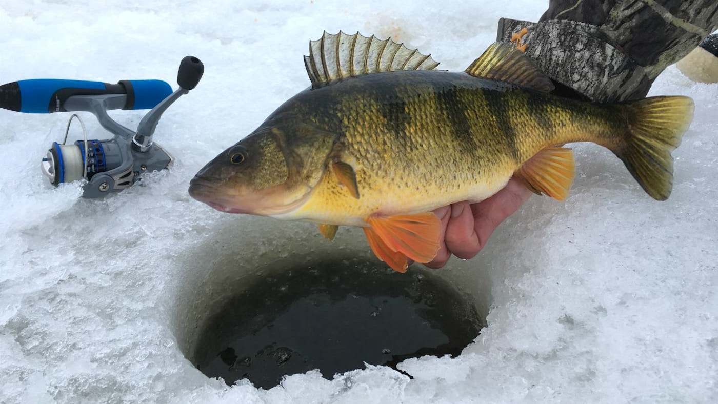 Fish Tech Tip: How to Effectively Use Bobbers While Ice Fishing 