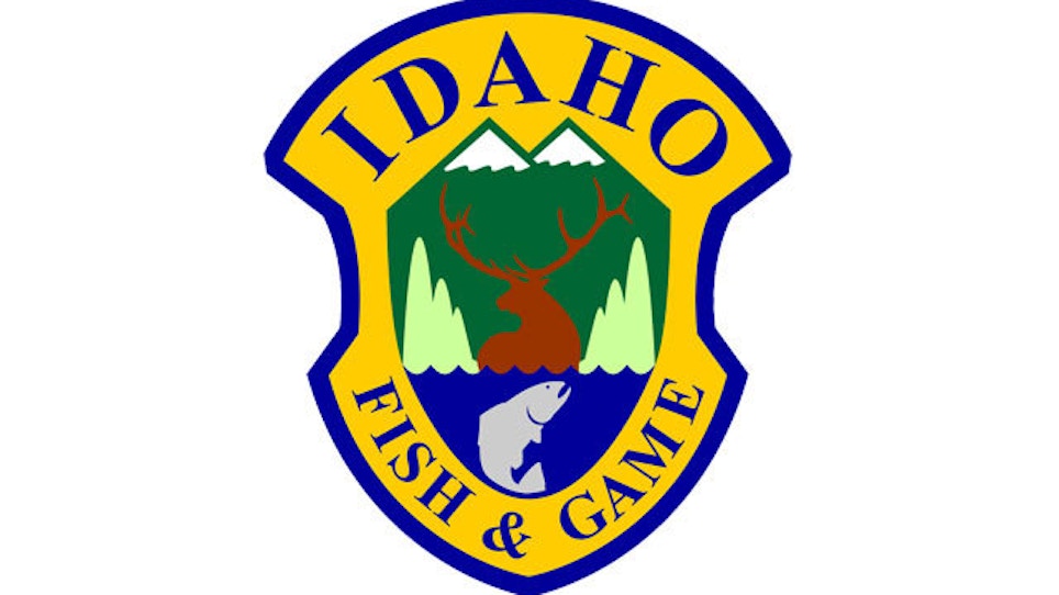 State Yanks License Of Northern Idaho Wolf Exhibition