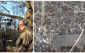 Whitetail Rut Video: Heavily Palmated Buck Directly Under the Treestand