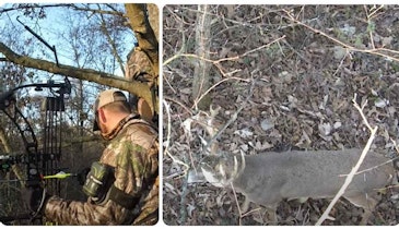 Whitetail Rut Video: Heavily Palmated Buck Directly Under the Treestand