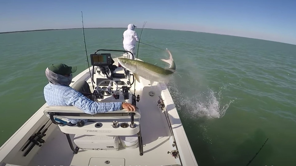 Crazy Fishing Video: Big Tarpon Jumps Over Angler’s Boat