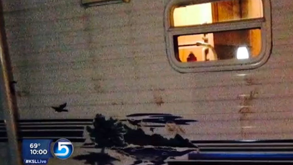 VIDEO: Bear Tries To Break Into Family's Camping Trailer